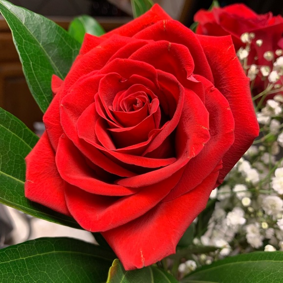 Meet your Posher, Faye - Picture 3 of 6